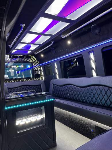 2016 Mercedes-Benz Sprinter Limousine Sprinter for Sale in Richmond, Virginia, US - Photo 4