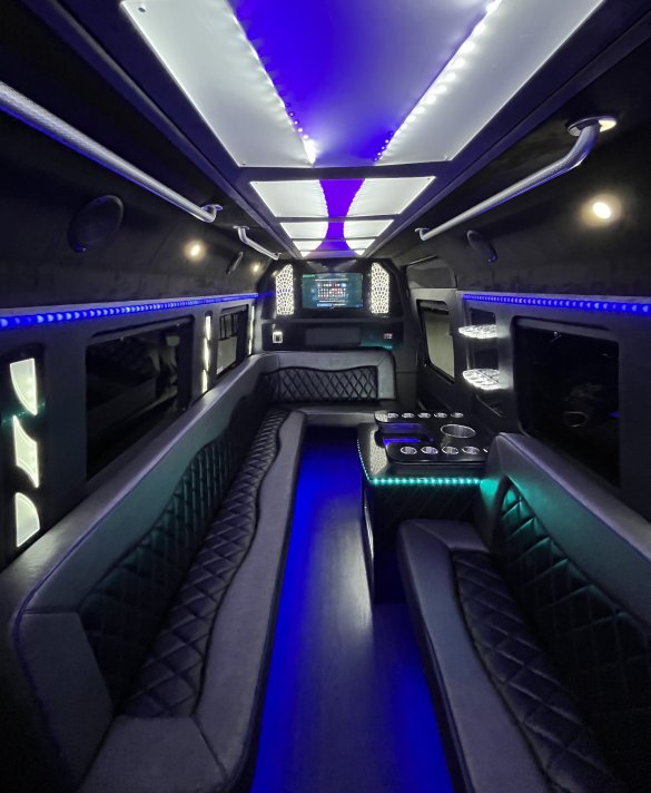 2016 Mercedes-Benz Sprinter Limousine Sprinter for Sale in Richmond, VA - Photo 2
