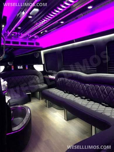 2015 First class customs Mercedes-Benz Sprinter  Sprinter