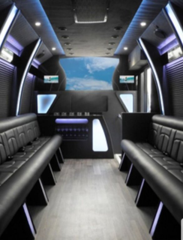 2019 Berkshire Ford E450 Party Bus 40K Milles