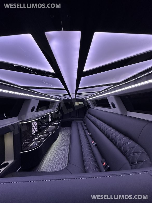 Brand New 10 Passenger  Limousine