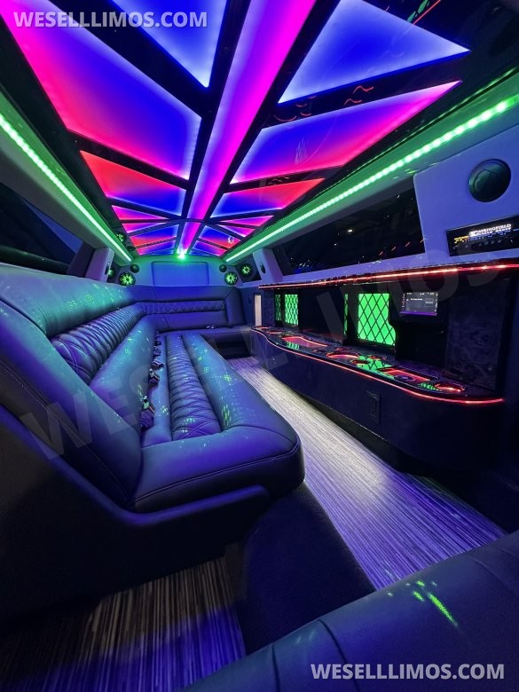 Brand New 10 Passenger  Limousine