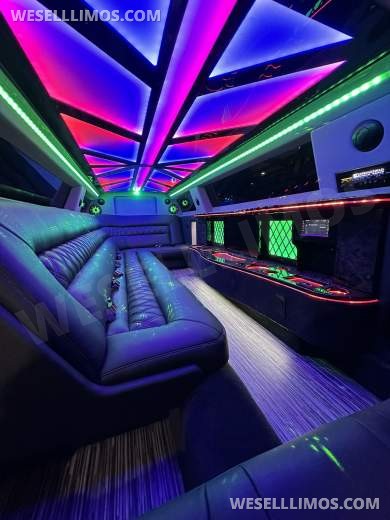 Brand New 10 Passenger  Limousine