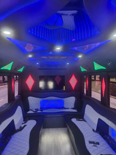 2016 Ford E450 Limo Bus