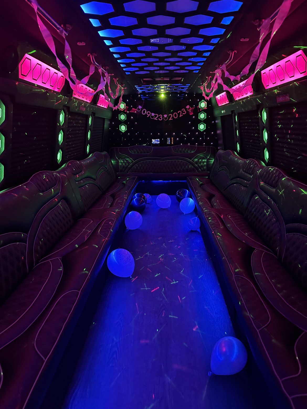 Limo Bus for Sale in Macomb, MI - Photo 5