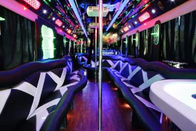 2010 CT Coachworks Freightliner VIP Party Bus