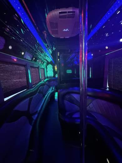 2008 CT Coach Ford F550 Limo Bus