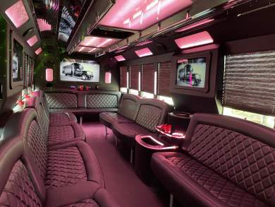 2017 Tiffany Coachbuilders Ford F-550 Limo Bus