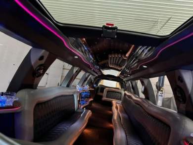 2008 Great Lakes   Ford Expedition  Limousine