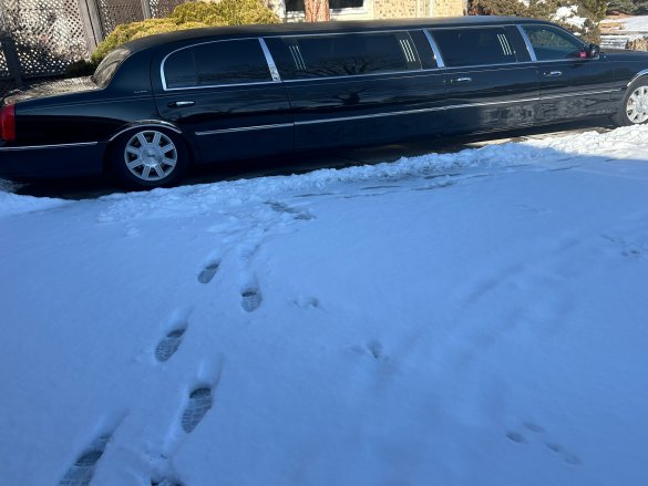 2011 Executive Lincoln 10-Passenger Stretch Limousine Limousine