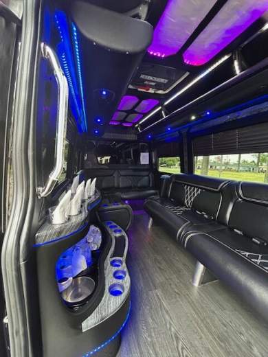 2017 Grech Mercedes-Benz Sprinter Limo Party Bus