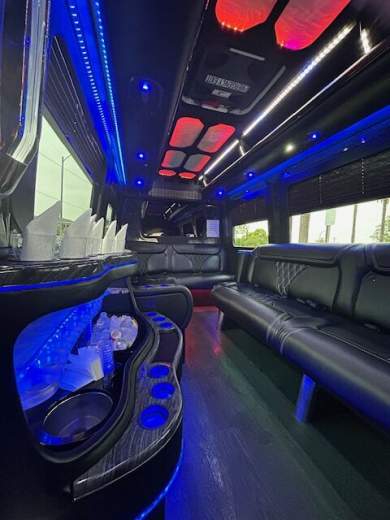 2017 Grech Mercedes-Benz Sprinter Limo Party Bus