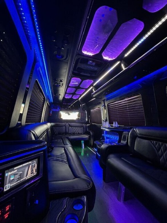 2017 Grech Mercedes-Benz Sprinter Limo Party Bus