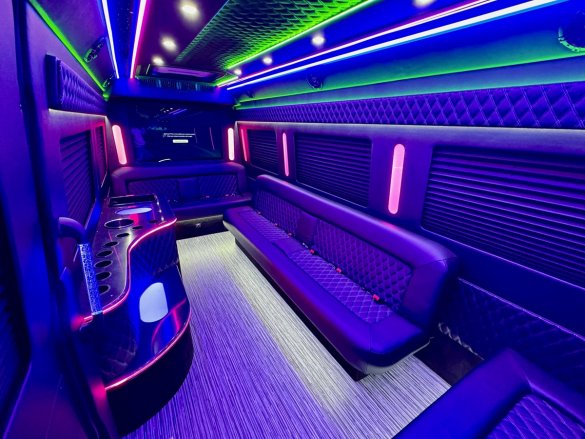 2024 Mercedes-Benz Sprinter Party Bus Limousine Limo Bus for Sale in Erie, PA - Photo 2
