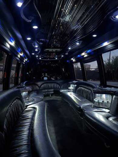 2008 Krystal Koach International KK35 Limo Bus