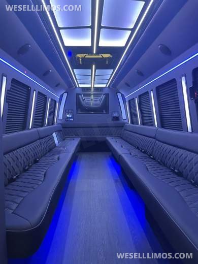 LGE Coachworks F550 Limo Bus 29+ Passengers