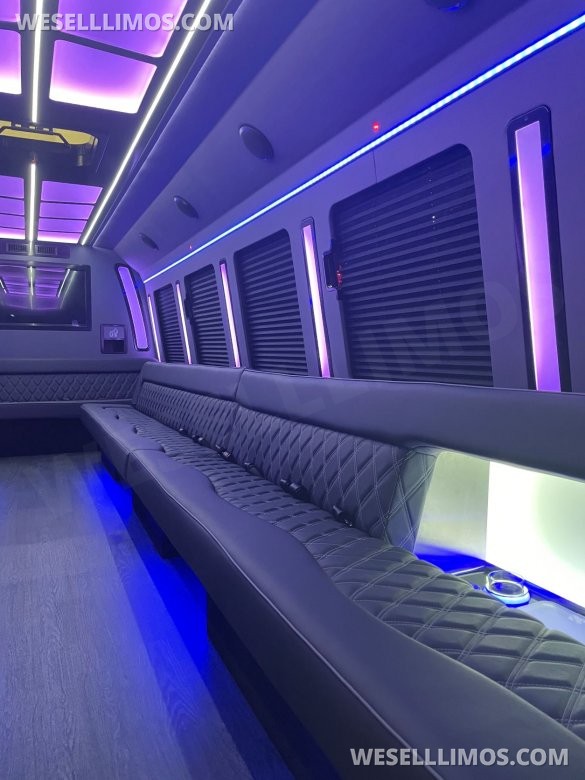 LGE Coachworks F550 Limo Bus 29+ Passengers