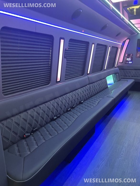 LGE Coachworks F550 Limo Bus 29+ Passengers