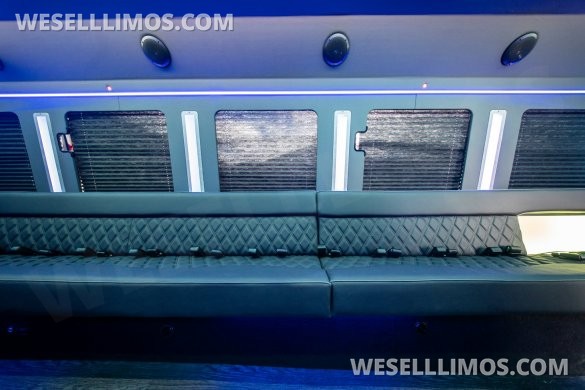 LGE Coachworks F550 Limo Bus 29+ Passengers