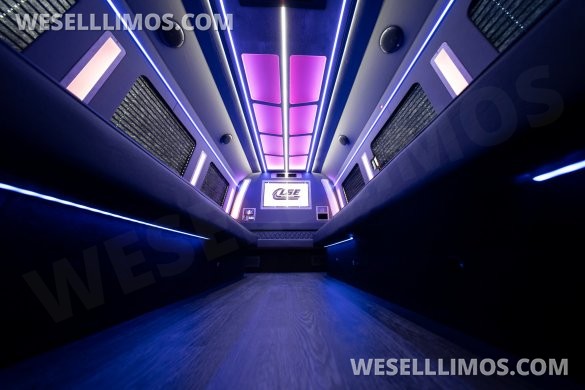LGE Coachworks F550 Limo Bus 29+ Passengers