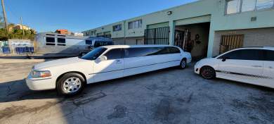 2006 Executive Coach Builders Lincoln 120 inch Executive ICON Limousine