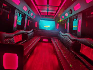 2014 Ford E450 Limo Bus