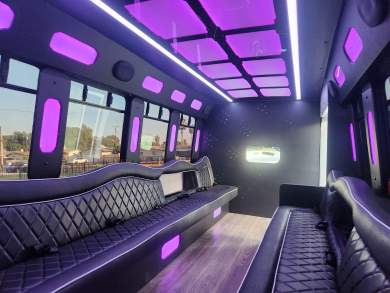 2014 Ford E450 Limo Bus