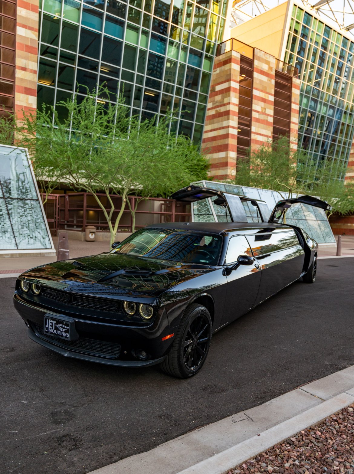 Limousine for sale: 2019 Dodge Challenger by Pinnacle