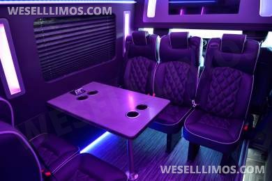Huge Price Reduction - Ready for Delivery Executive Sprinter by LGE