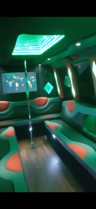 2014 Champion - Cust Ford E450  Limo Bus