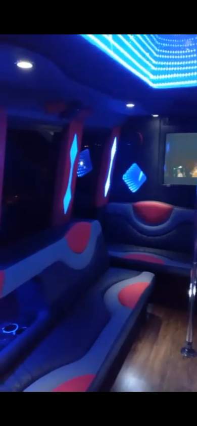 2014 Champion - Cust Ford E450  Limo Bus