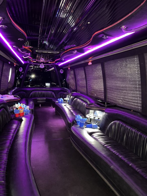 2007 Krystal International 3200 DT466 Limo Bus