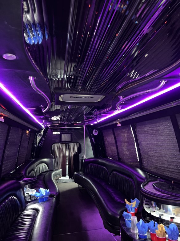 2007 Krystal International 3200 DT466 Limo Bus