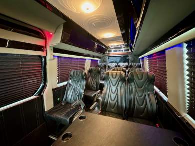 2017 Executive Coach Builders Mercedes-Benz Sprinter Shuttle