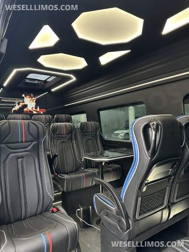 2024 Deluxe Sprinter Van - 15 Seater with Huge Luggage Space