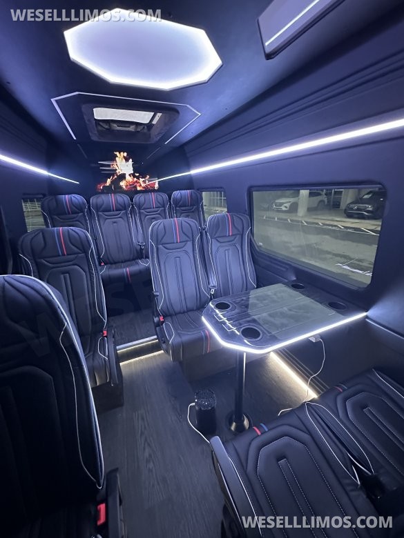 2024 Deluxe Sprinter Van - 15 Seater with Huge Luggage Space