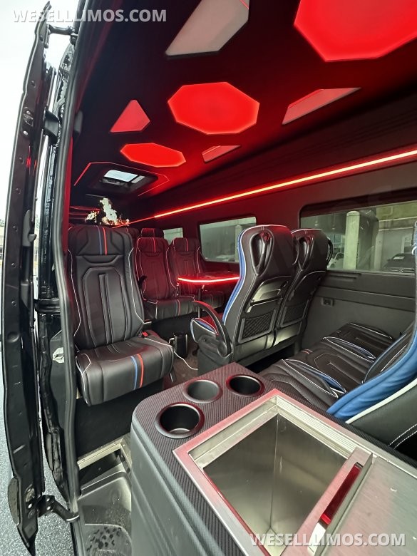 2024 Deluxe Sprinter Van - 15 Seater with Huge Luggage Space