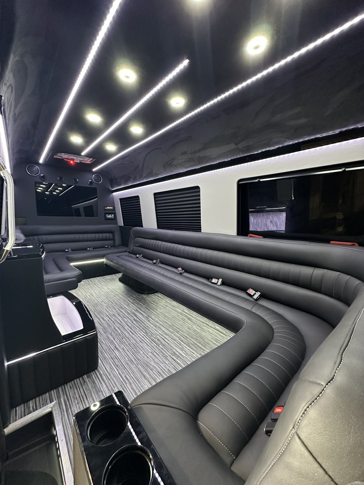 2025 LimoLand  Mercedes-Benz Sprinter  Funeral - Photo 2