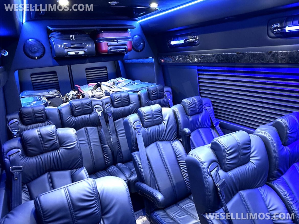 2024 Road Liner 747 15 Passenger Coach Massive Trunk Auto Elite Mercedes-Benz Sprinter - Photo 3