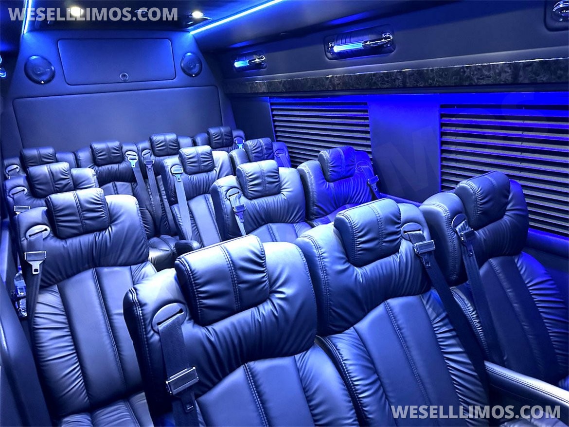 2024 Road Liner 747 15 Passenger Coach Massive Trunk Auto Elite Mercedes-Benz Sprinter - Photo 4