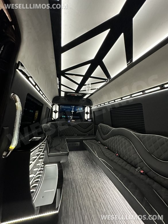 2025 14 Passenger  LimoLand  Mercedes-Benz Sprinter