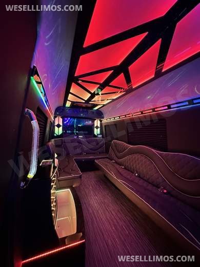 2025 14 Passenger  LimoLand  Mercedes-Benz Sprinter