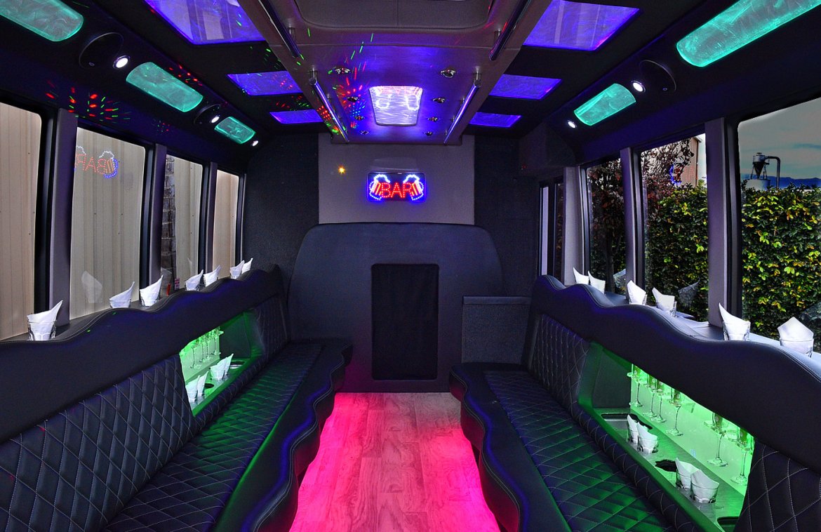 Photo of Limo Bus for sale: 2011 Ford E-450 by Tiffany