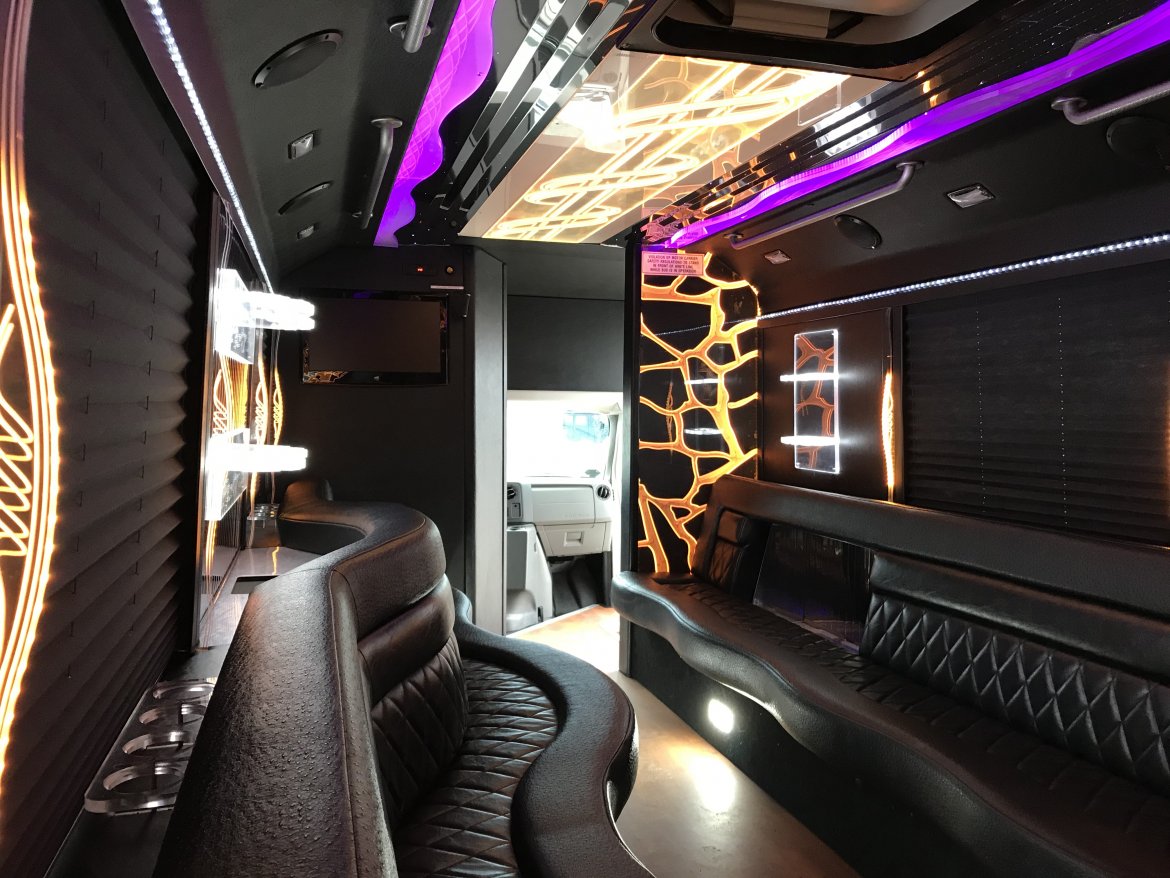 Photo of Limo Bus for sale: 2013 Ford E450  by LGE Coachworks