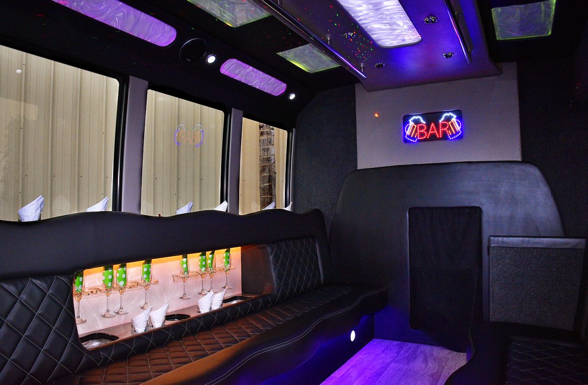 Photo of Limo Bus for sale: 2011 Ford E-450 by Tiffany
