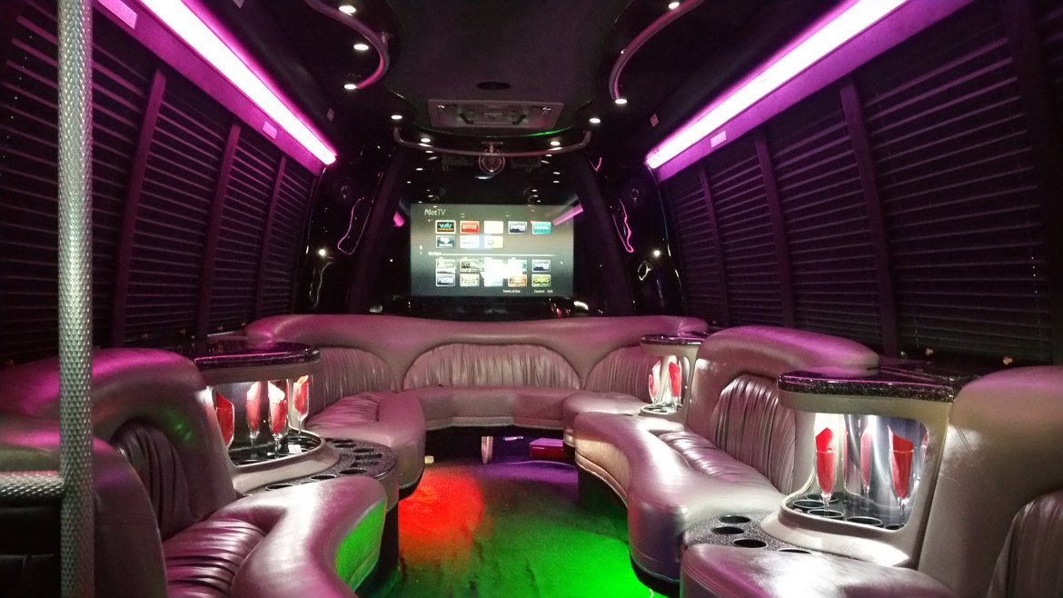 Photo of Limo Bus for sale: 2004 Ford E 450 33&quot; by Krystal